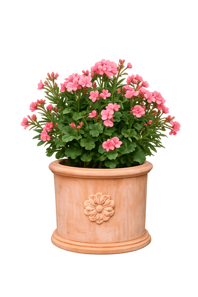Pot de fleurs en terre cuite d’Impruneta - Cilindro 3 rose